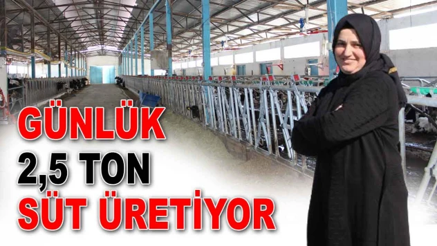 Günlük 2,5 Ton Süt Üretiyor
