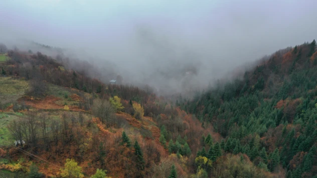 Güz Renkleri Sisle Birleşti