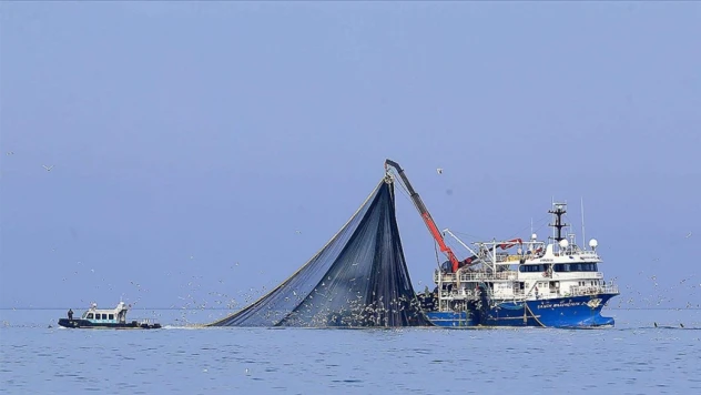 Hamsi Soğuk Sulara Yöneldi