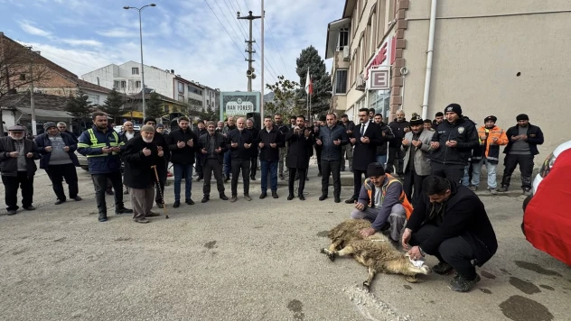 Hanönü Belediyesine Hibe Edilen Araç İçin Kurban Kesildi
