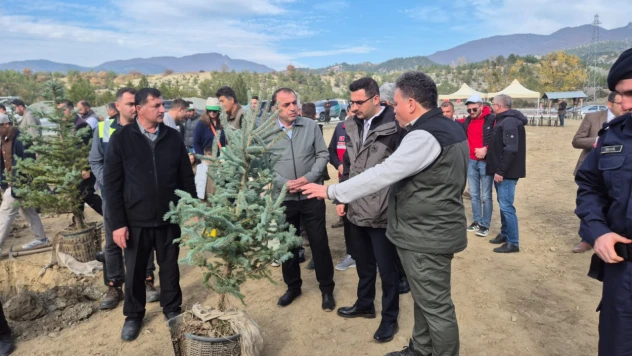 Hanönü'de Milli Ağaçlandırma Günü'nde Fidanlar Toprakla Buluşturuldu