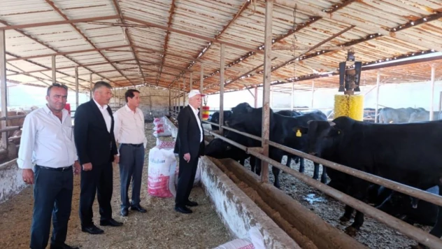 Hastalığa Karşı Önlem Uyarısı: Ölümcül Boyutta Seyrediyor!