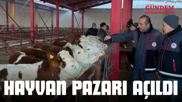 Hayvan Pazarı Açıldı
