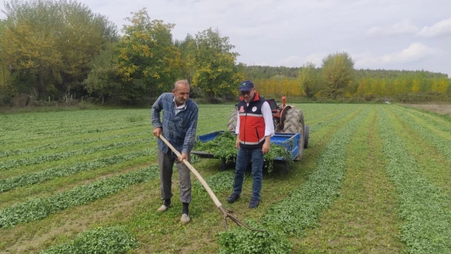 İl Tarım'dan Taşköprü'de Saha Ziyareti