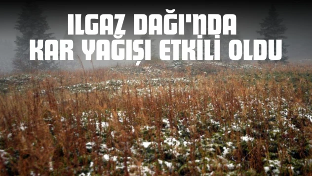 Ilgaz Dağı'nda Kar Yağışı Etkili Oldu