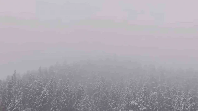 Ilgaz Dağı'nda Kar Yağışı Etkili Oldu