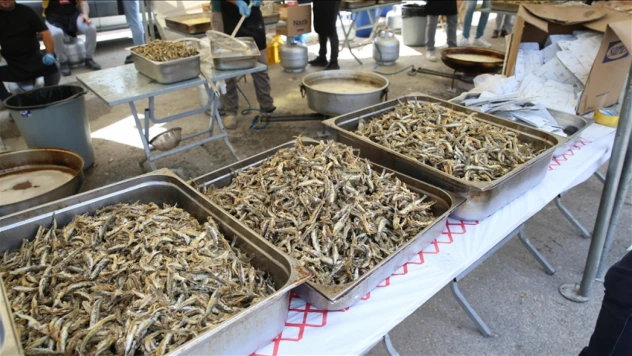 İnebolu Hamsi Festivali Başlıyor