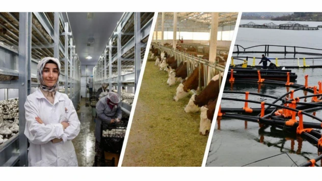 IPARD III Çağrı Takvimi Yayımlandı