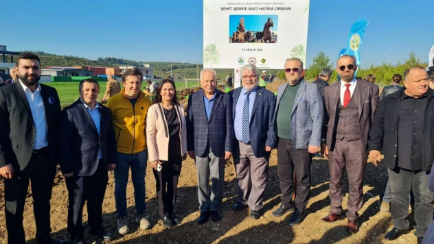 İzmir'de 'Şehit Şerife Bacı Hatıra Ormanı' İçin Fidanlar Toprakla Buluştu