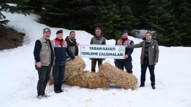 Jandarma Doğaya Yem Bıraktı