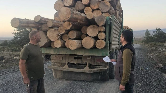 Kaçak Ağaç Kıyımına Ağır Ceza