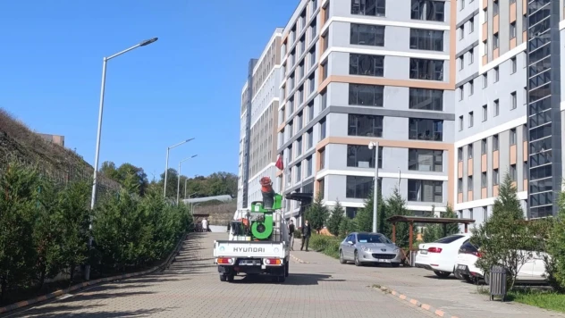 Kahverengi Kokarcayla Mücadele Çalışması