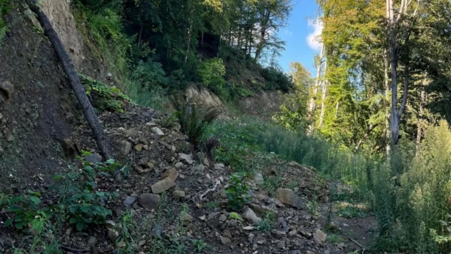 Kapanan Orman Yolları Açıldı