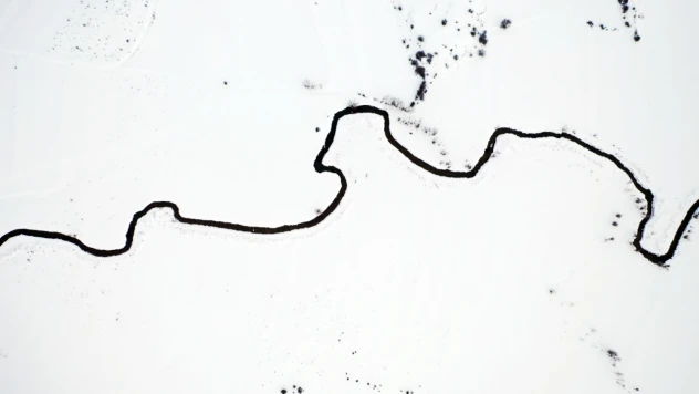 Kar Altındaki Mendereslerin Kış Güzelliği