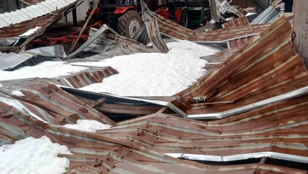 Kar Birikintisi Mandıra Çatısını Çökertti