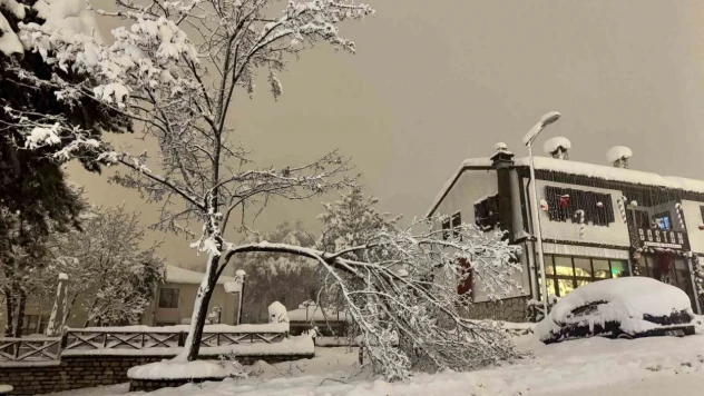Karabük'te Çok Sayıda Ağacın Dalların Kırıldı