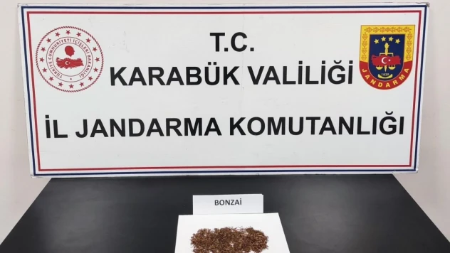 Karabük'te Uyuşturucu Operasyonu: 1 Gözaltı