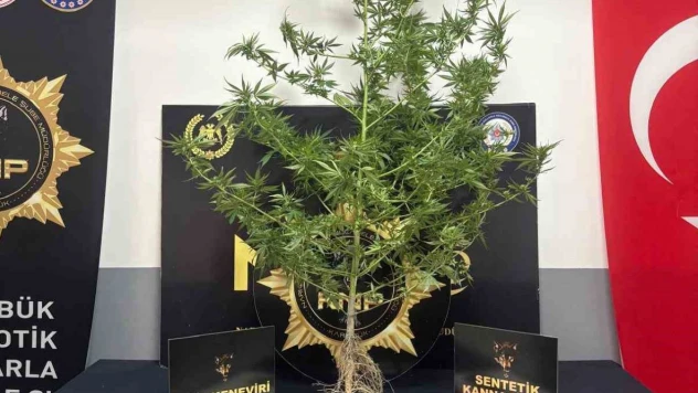 Karabük'te Uyuşturucu Operasyonu