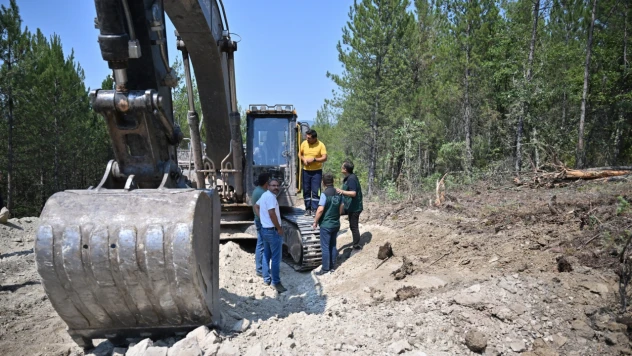 Karabük'te Yangın Bölgesinde İnceleme