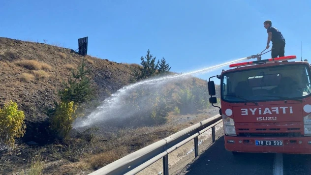 Karabük'te Yol Kenarında Çıkan Ot Yangını Söndürüldü