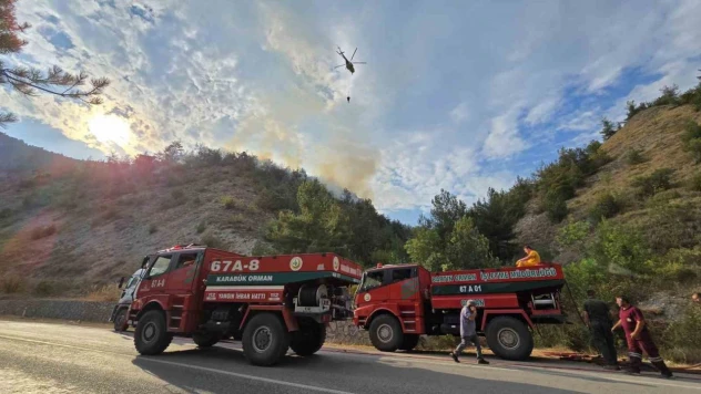 Karabük'teki Orman Yangını 2 Saatte Kontrol Altına Alındı