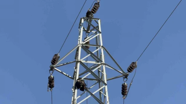Karabük'teki Orman Yangınında Önemli Bir İddia Ortaya Atıldı