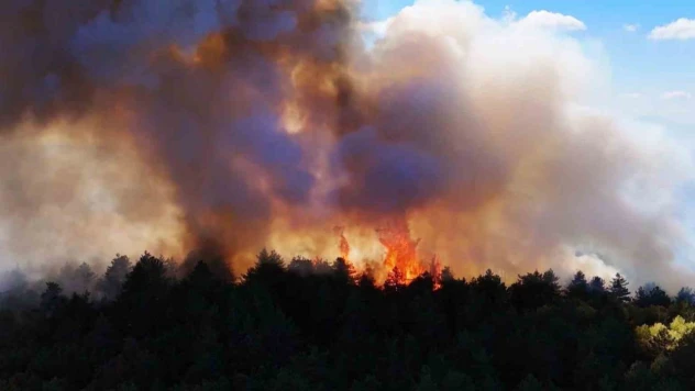 Karabük'teki Yangın 48 Saattir Devam Ediyor