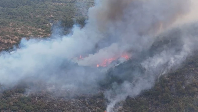 Karabük'teki Yangınla İlgili 5 Kişi Gözaltına Alındı