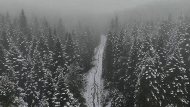 Karabük'ün Yüksek Kesimleri Beyaza Büründü