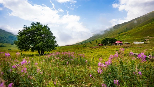 Karadeniz'e Uygun Fiyatlı Seyahat İlgi Çekiyor: Kastamonu'da Öne Çıktı
