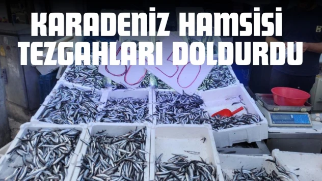 Karadeniz Hamsisi Tezgahları Doldurdu