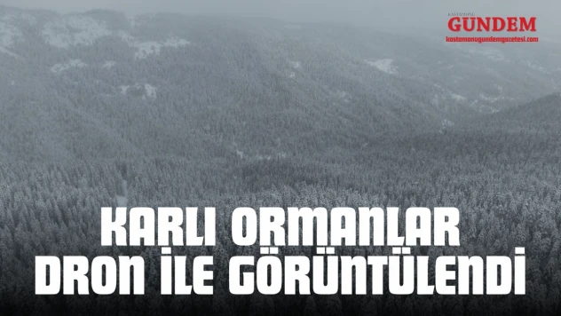 Karlı Ormanlar Dron İle Görüntülendi