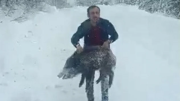 Domuzu Elleriyle Yakalayan Adam Konuştu