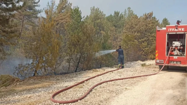 Kastamonu Belediyesi, Yangın Bölgesine Destek İçin Harekete Geçti