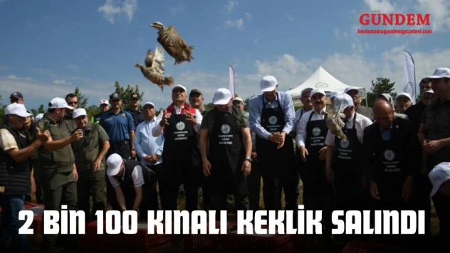 Kastamonu'da 2 Bin 100 Kınalı Keklik Salındı