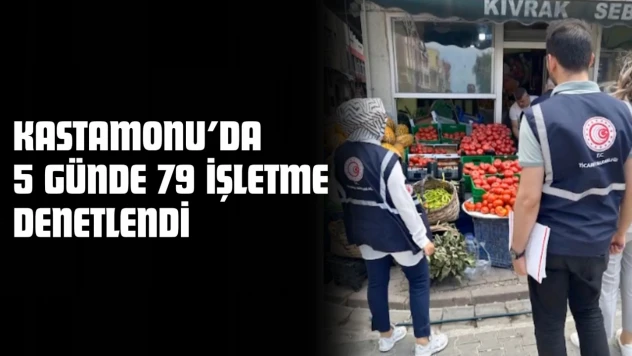 Kastamonu'da 5 Günde 79 İşletme Denetlendi