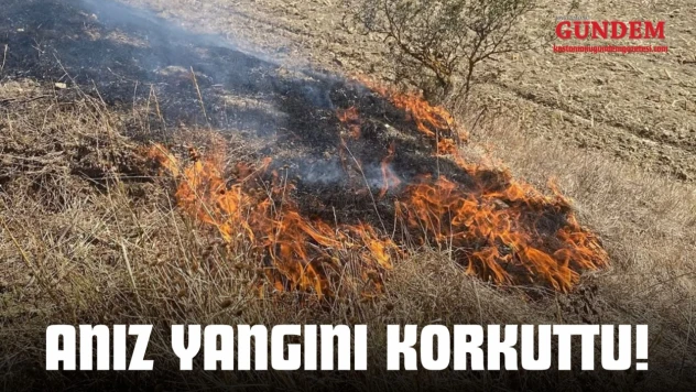 Kastamonu'da Anız Yangını Korkuttu!