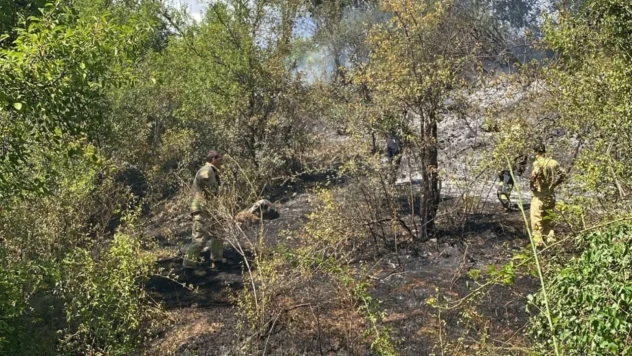 Kastamonu'da Bahçe Yangını!