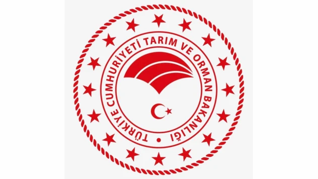 Kastamonu'da Bilgisayar Programcısı Alınacak
