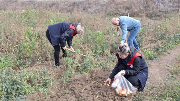 Kastamonu'da Bitki Sağlığı Çalışmaları Aralıksız Devam Ediyor