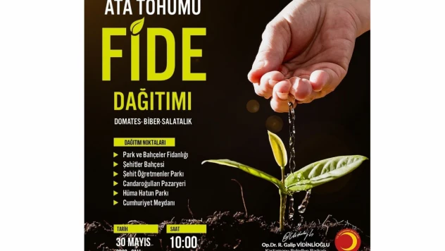 Kastamonu'da fide dağıtımı yapılacak