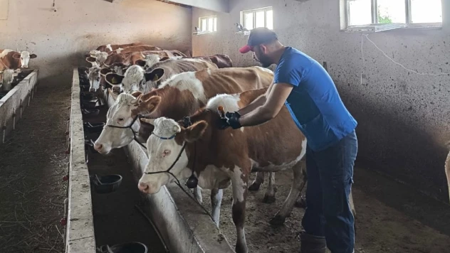 Kastamonu'da Hastalığa Karşı Bağışıklık Kalkanı