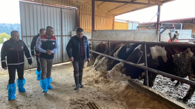 Kastamonu'da Hayvancılık İşletmeleri Yerinde İncelendi