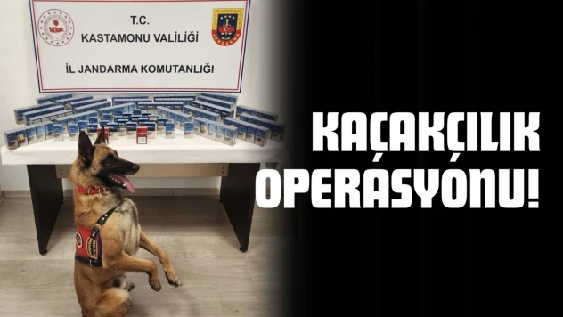 Kastamonu'da Kaçakçılık Operasyonu!