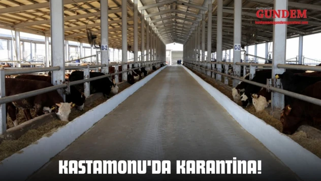 Kastamonu'da Karantina!