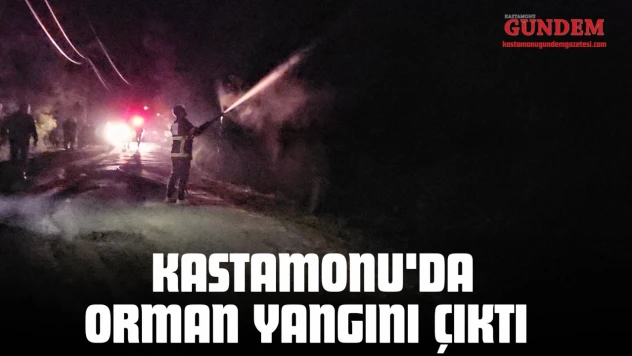 Kastamonu'da Orman Yangını Çıktı