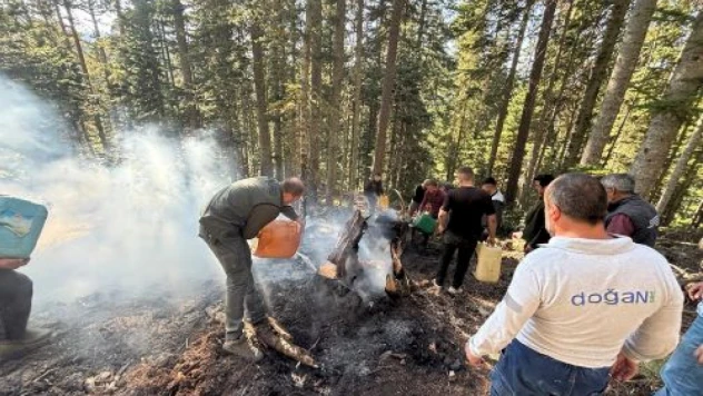 Kastamonu'da Orman Yangını