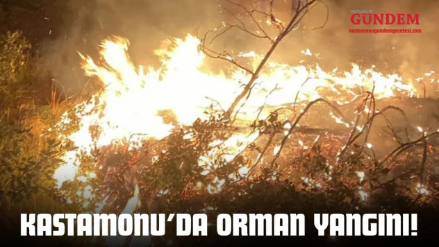 Kastamonu'da Orman Yangını!