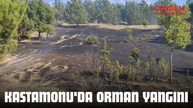 Kastamonu'da Orman Yangını