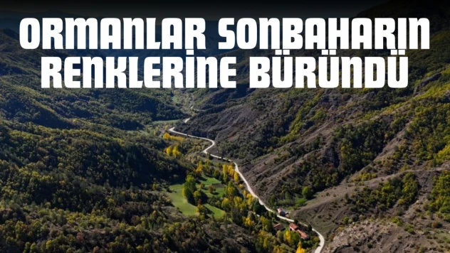Kastamonu'da Ormanlar Sonbaharın Renklerine Büründü